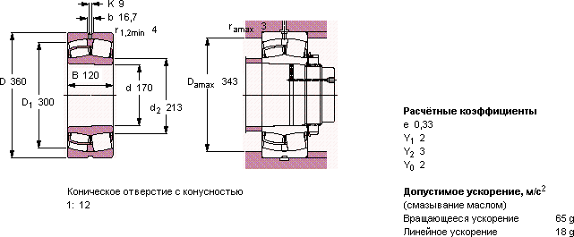 22334 CCKJA/W33VA405