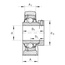 RASE25-FA164