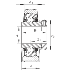 TSHE55
